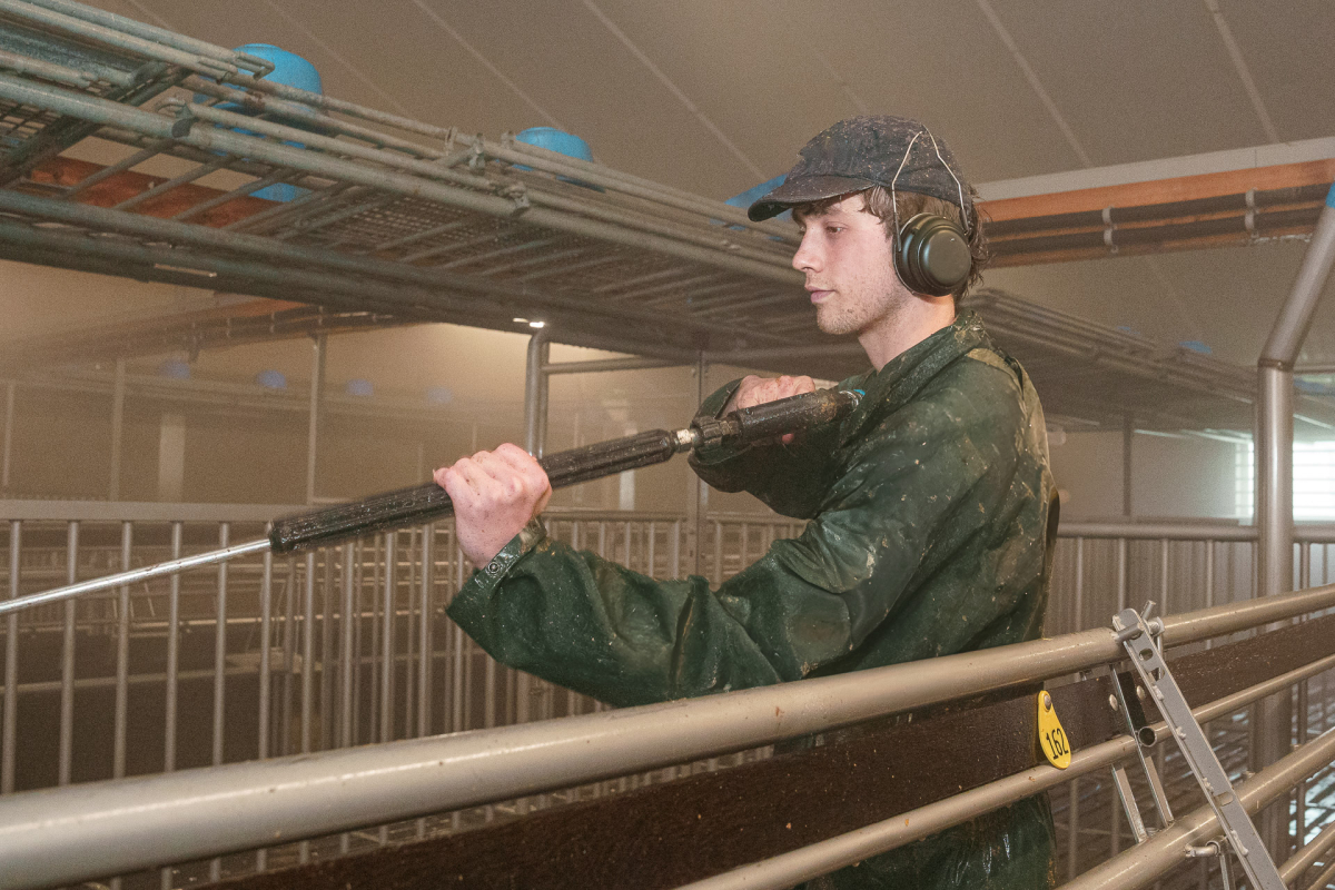 Werken bij van Wijngaarden Stalreiniging